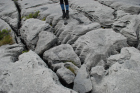 Sheshymore Limestone with classic kharstified exposures of the disolving fracture margins, Grikes, of tabular blocks of limestone pavement, Clints. Widened driven by post glacial disolution (McNamara, & Hennessy, 2010). Variscan folding initiated the fractures (Coller, 1984).